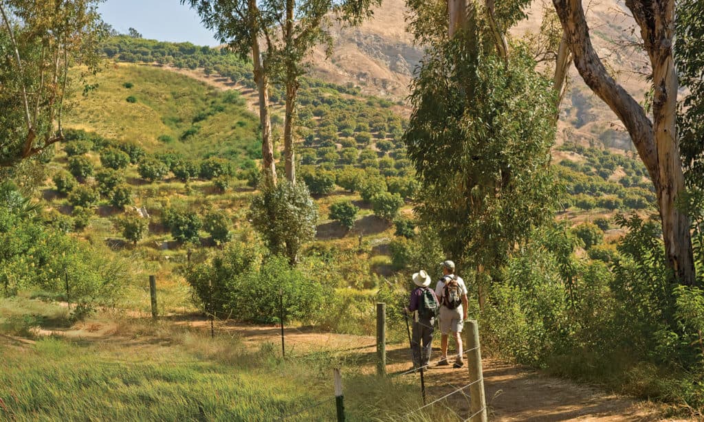 Couple hiking Irvine preserve trails